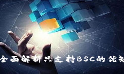 tpWalletapp：全面解析只支持BSC的优缺点与应用场景