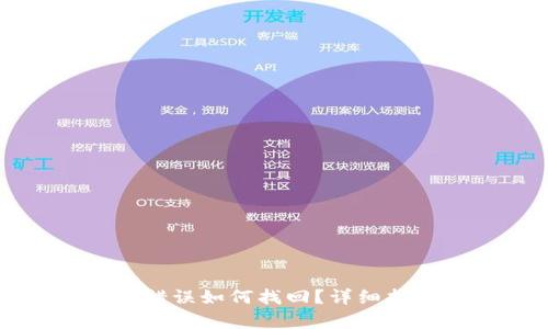 tpWallet转币错误如何找回？详细指南与解决方案