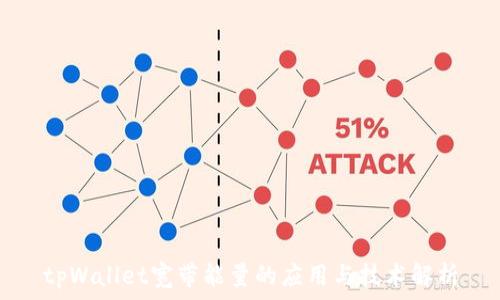   
tpWallet宽带能量的应用与技术解析