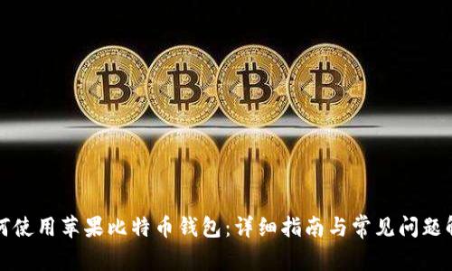如何使用苹果比特币钱包：详细指南与常见问题解答