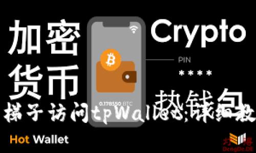 如何使用梯子访问tpWallet：详细教程与技巧