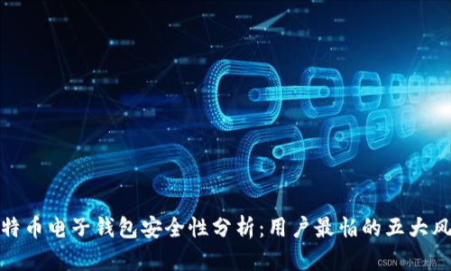 比特币电子钱包安全性分析：用户最怕的五大风险