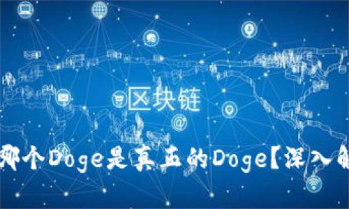 tpWallet哪个Doge是真正的Doge？深入解析与评估