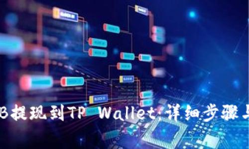 如何将BNB提现到TP Wallet：详细步骤与注意事项