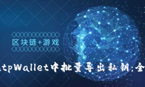 如何在tpWallet中批量导出私钥：全面指南