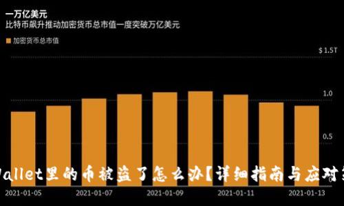 tpWallet里的币被盗了怎么办？详细指南与应对策略