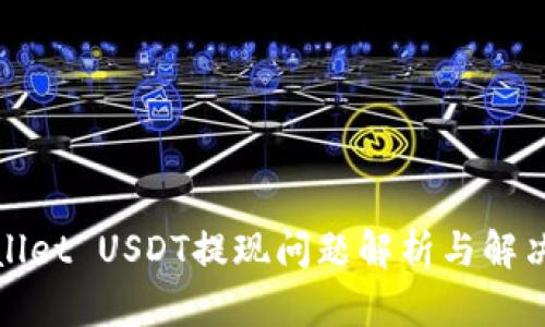 tpWallet USDT提现问题解析与解决方案