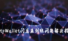 : tpWallet闪兑未到账问题解