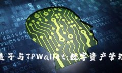 深入了解麦子与TPWallet：数