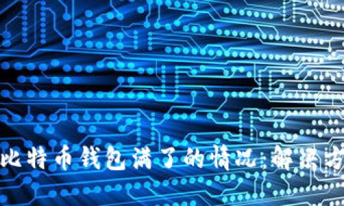 如何处理比特币钱包满了的情况：解决方案与建议