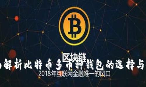 全面解析比特币多币种钱包的选择与使用