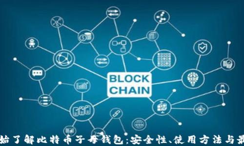 
从零开始了解比特币子母钱包：安全性、使用方法与最佳实践