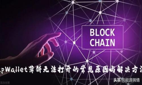tpWallet薄饼无法打开的常见原因与解决方法
