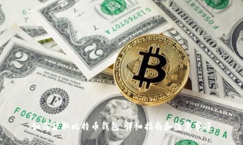 如何获取比特币钱包：详细指南和注意事项
