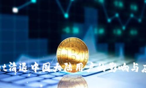tpWallet清退中国大陆用户的影响与应对策略