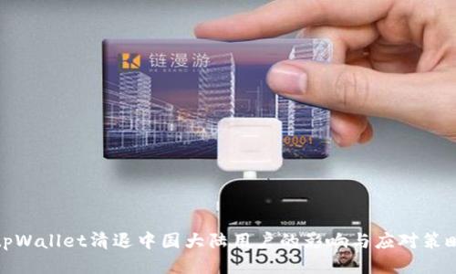 tpWallet清退中国大陆用户的影响与应对策略