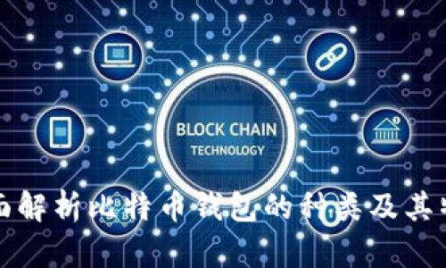 全面解析比特币钱包的种类及其特点
