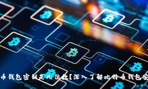 比特币钱包密钥是几位数？深入了解比特币钱包安全性