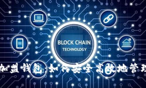 比特币中国创加盟钱包：如何安全高效地管理您的数字资产