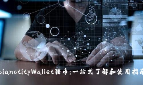bianotitpWallet猪币：一站式了解和使用指南