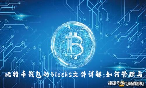 比特币钱包的Blocks文件详解：如何管理与