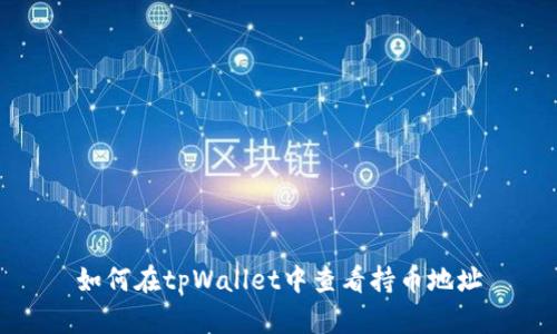 如何在tpWallet中查看持币地址