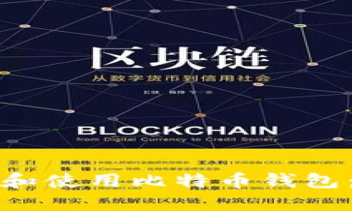 如何创建和使用比特币钱包：全面指南