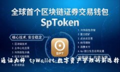 通证大师 tpWallet：数字资