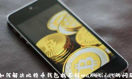 
如何解决比特币钱包找不到wallet.dat的问题