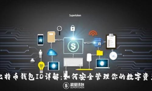 比特币钱包ID详解：如何安全管理你的数字资产