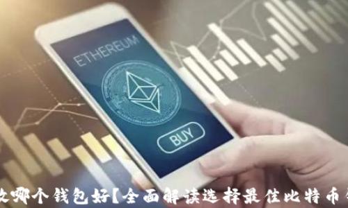 
比特币存放哪个钱包好？全面解读选择最佳比特币钱包的标准