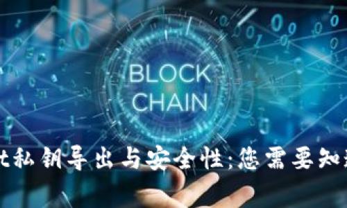 tpWallet私钥导出与安全性：您需要知道的事情