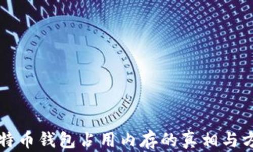 
比特币钱包占用内存的真相与方法