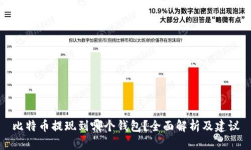 比特币提现到哪个钱包？全面解析及建议