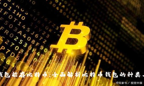 什么钱包能存比特币：全面解析比特币钱包的种类与选择