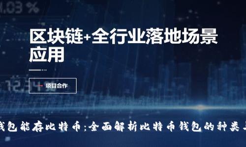 什么钱包能存比特币：全面解析比特币钱包的种类与选择
