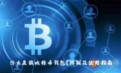 什么是假比特币钱包？辨