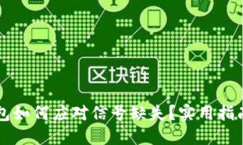 虚拟币冷钱包如何应对信号缺失？实用指南与解决方案