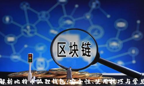 
全面解析比特币狐狸钱包：安全性、使用技巧与常见问题