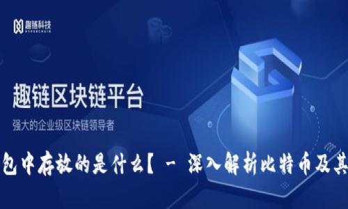 比特币钱包中存放的是什么？ - 深入解析比特币及其存储机制