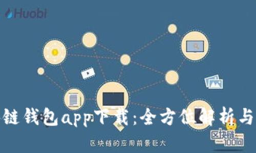 DCM区块链钱包app下载：全方位解析与使用指南