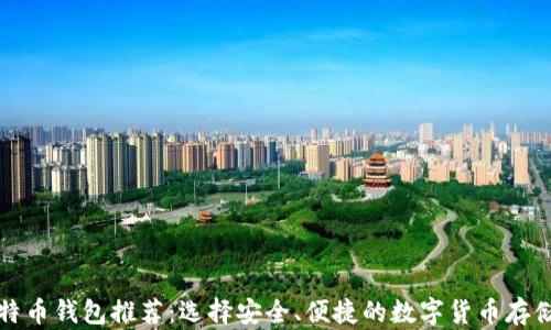 
买比特币钱包推荐：选择安全、便捷的数字货币存储方案