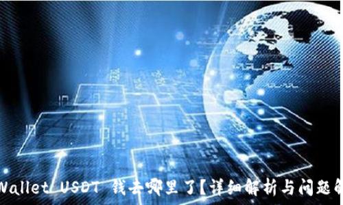   
tpWallet USDT 钱去哪里了？详细解析与问题解答