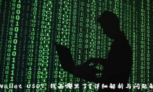   
tpWallet USDT 钱去哪里了？详细解析与问题解答