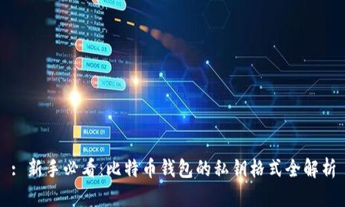 : 新手必看：比特币钱包的私钥格式全解析