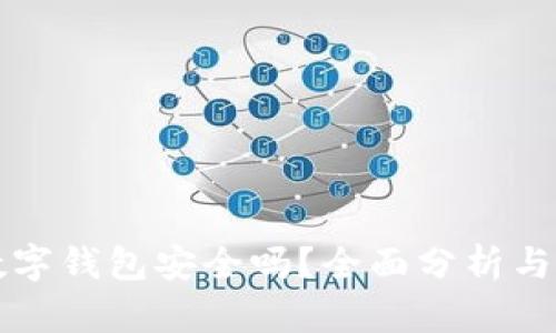 比特币数字钱包安全吗？全面分析与安全指南