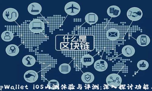 
tpWallet iOS内测体验与评测：深入探讨功能与