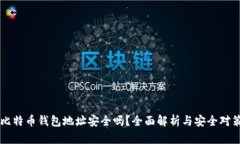 比特币钱包地址安全吗？全面解析与安全对策