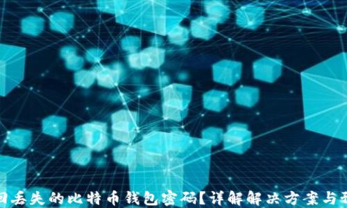 
如何找回丢失的比特币钱包密码？详解解决方案与预防措施
