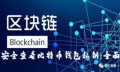 如何安全查看比特币钱包私钥：全面指南